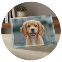 Fotopanel cristal personalizado